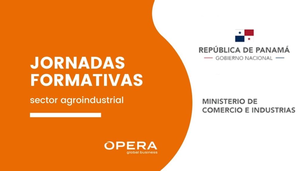 jornadas formativas