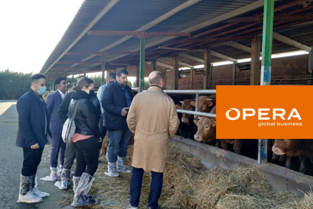 Las acciones presenciales para la promoción del vacuno español vuelven a la carga de la mano de Opera Global Business